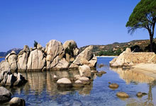 jiuyou app-集结日葡超传出新动向，犹他爵士门线救险，管理层表态——震撼外界，球队文化再被提及的简单介绍-jiuyou app